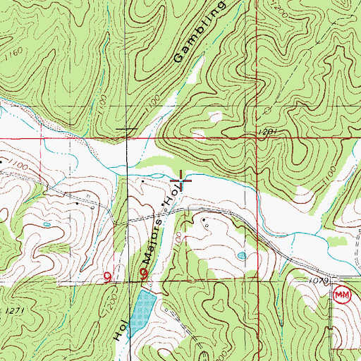 Topographic Map of Majors Hollow, MO