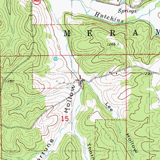 Topographic Map of Lee Hollow, MO