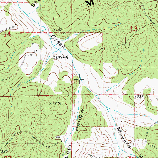 Topographic Map of Levi Hollow, MO