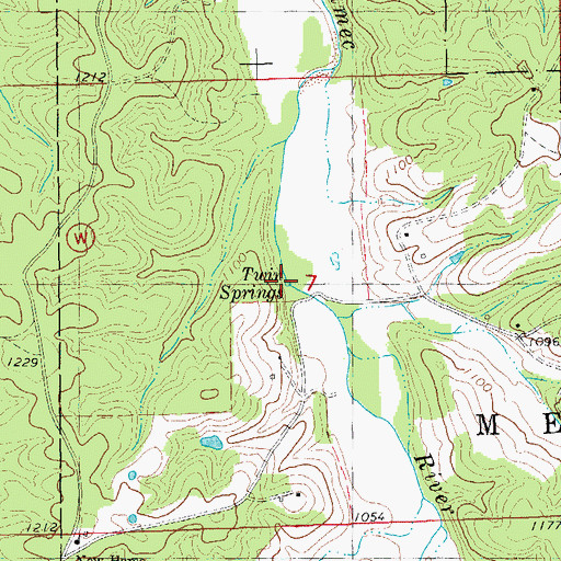 Topographic Map of Twin Springs, MO