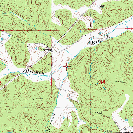 Topographic Map of Nelson Branch, MO