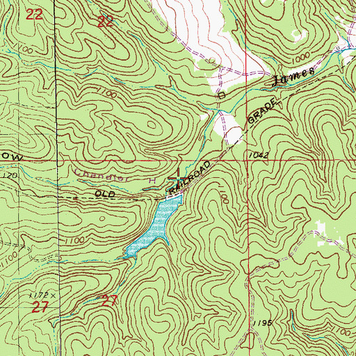 Topographic Map of Chandler Hollow, MO