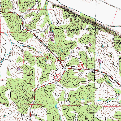 Topographic Map of Concord School (historical), MO