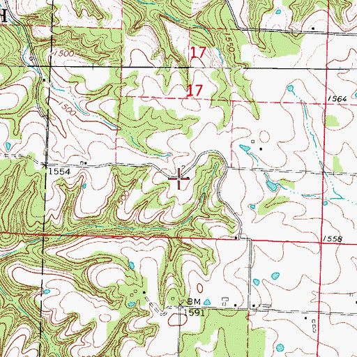 Topographic Map of Twin Springs Church, MO