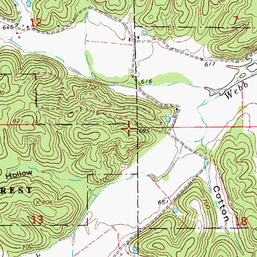 Topographic Map of Webb Creek State Forest, MO