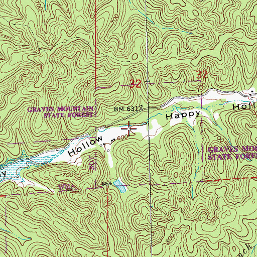 Topographic Map of Graves Mountain State Forest, MO