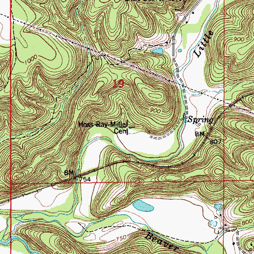 Topographic Map of Hoss-Ray-Miller Cemetery, MO