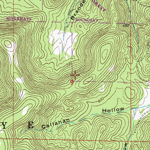 Topographic Map of Mule Mountain State Forest, MO