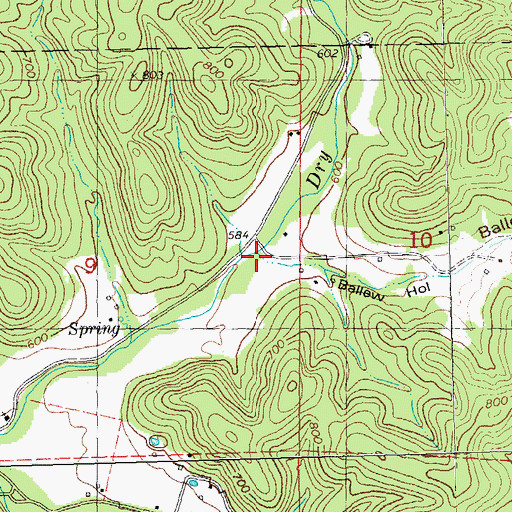 Topographic Map of Ballew Hollow, MO