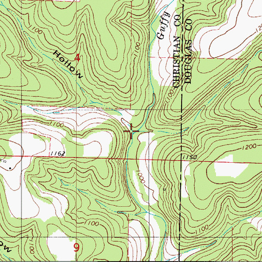 Topographic Map of Bill Hollow, MO
