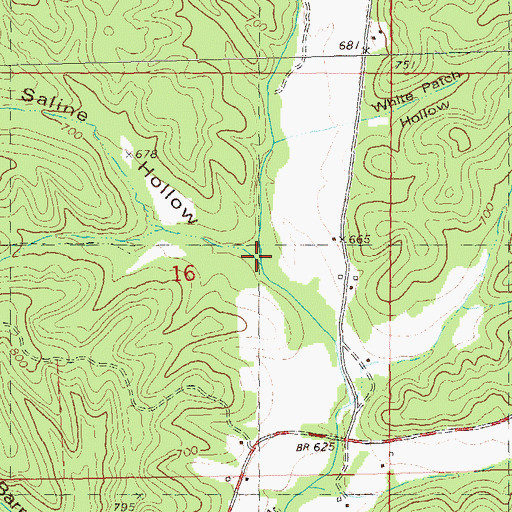 Topographic Map of Saline Hollow, MO