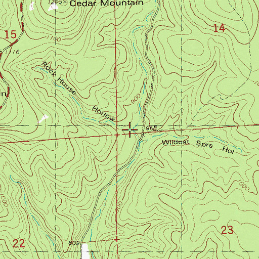 Topographic Map of Rock House Hollow, MO