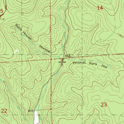 Topographic Map of Wildcat Springs Hollow, MO