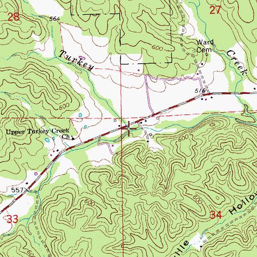 Topographic Map of Thirtyone Hollow, MO