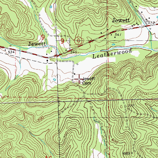 Topographic Map of Jewett Cemetery, MO
