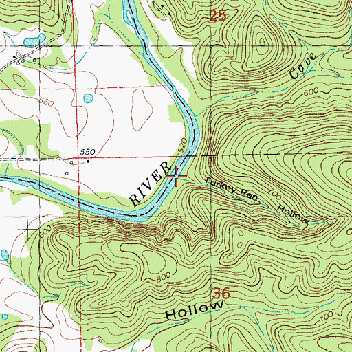 Topographic Map of Turkey Pen Hollow, MO