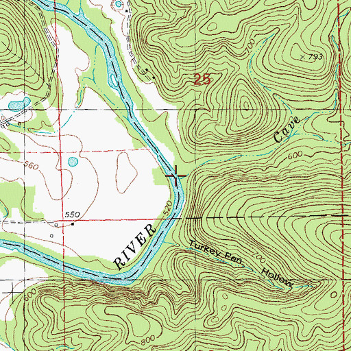 Topographic Map of Cave Branch, MO