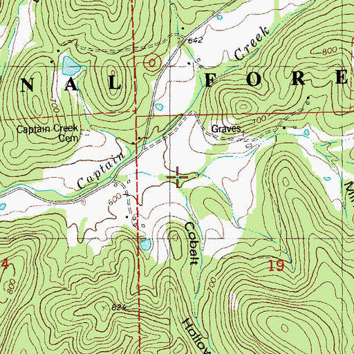 Topographic Map of Mining Hollow, MO