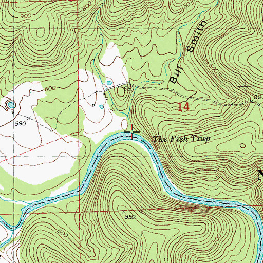 Topographic Map of Bill Smith Hollow, MO