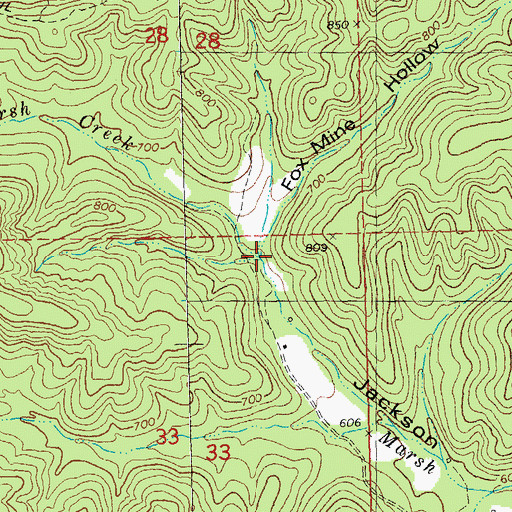 Topographic Map of Fox Mine Hollow, MO