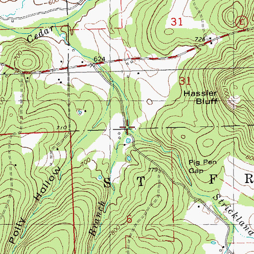 Topographic Map of Mine Branch, MO