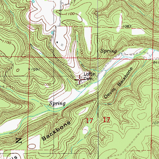 Topographic Map of Loftin Cemetery, MO
