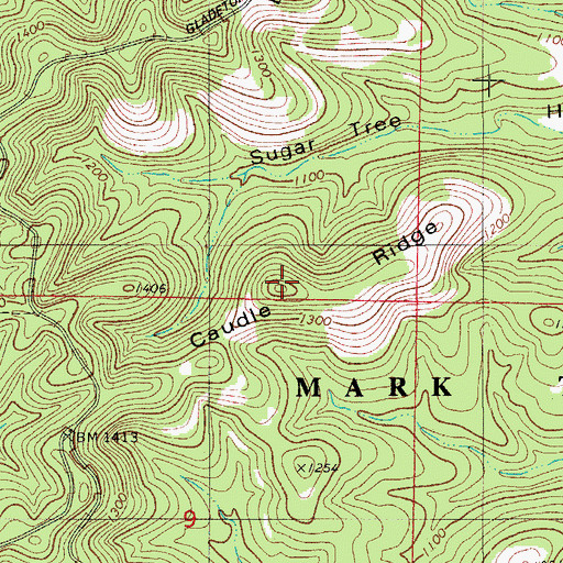Topographic Map of Caudle Ridge, MO