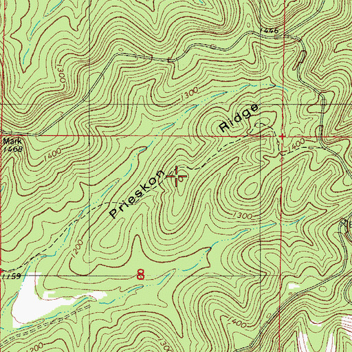 Topographic Map of Prieskon Ridge, MO