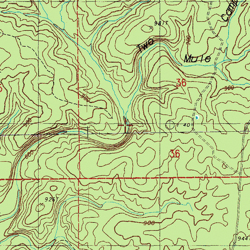 Topographic Map of Two Mule Camp Hollow, MO