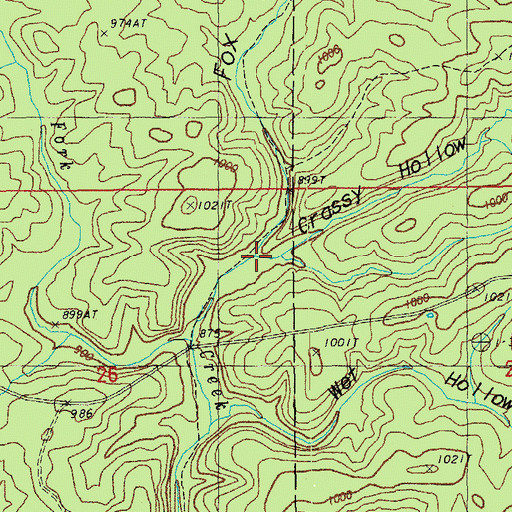 Topographic Map of Grassy Hollow, MO