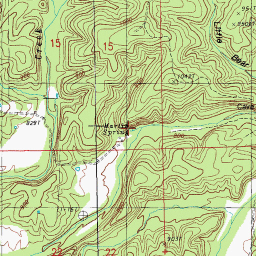 Topographic Map of Martin Spring, MO