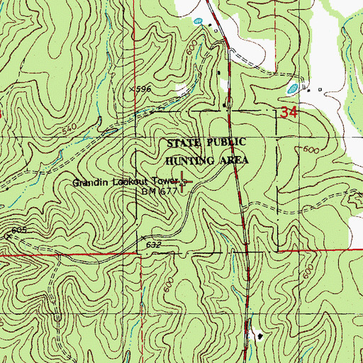 Topographic Map of Grandin Lookout Tower, MO
