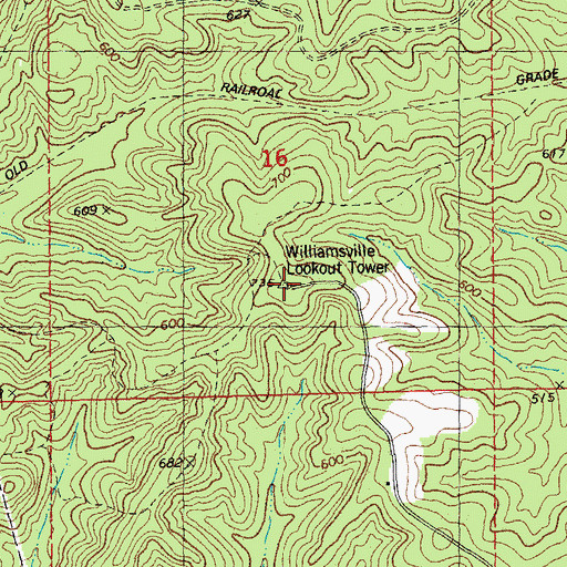 Topographic Map of Williamsville Lookout Tower, MO