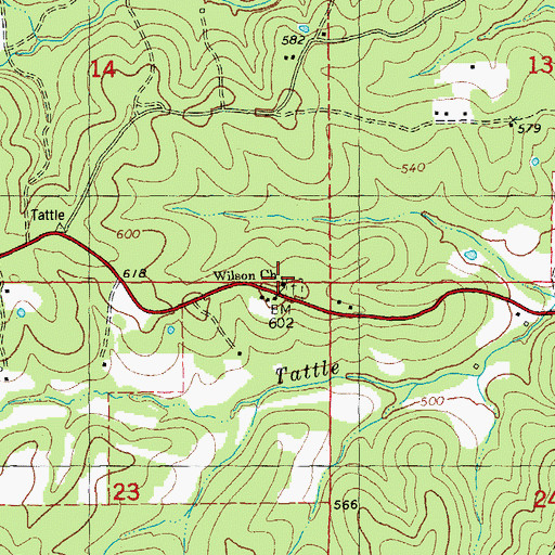 Topographic Map of Wilson Church, MO