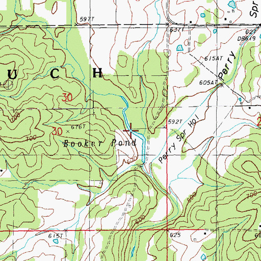 Topographic Map of Booker Pond, MO