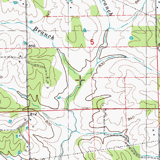 Topographic Map of Reagan Branch, MO