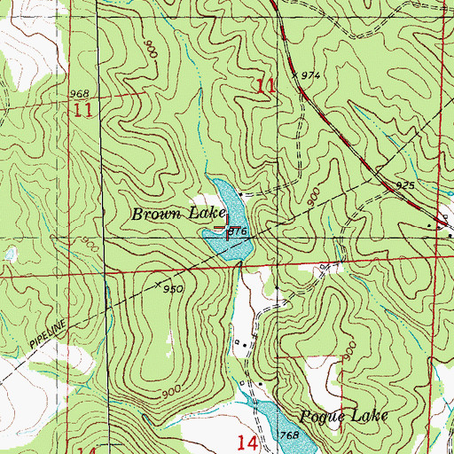 Topographic Map of Brown Lake, MO