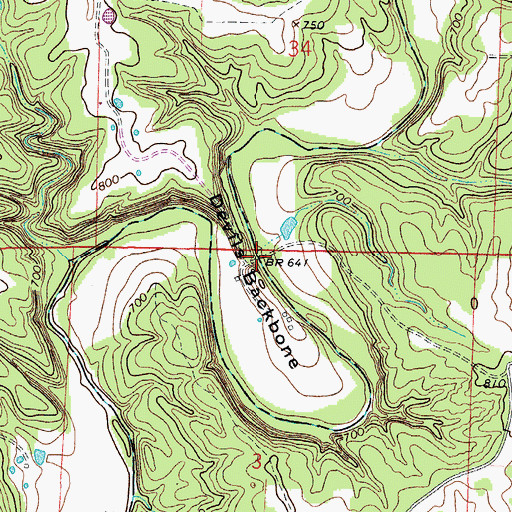 Topographic Map of Duley Mill Bridge, MO