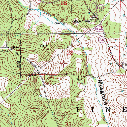 Topographic Map of Palace CCC Camp, MO