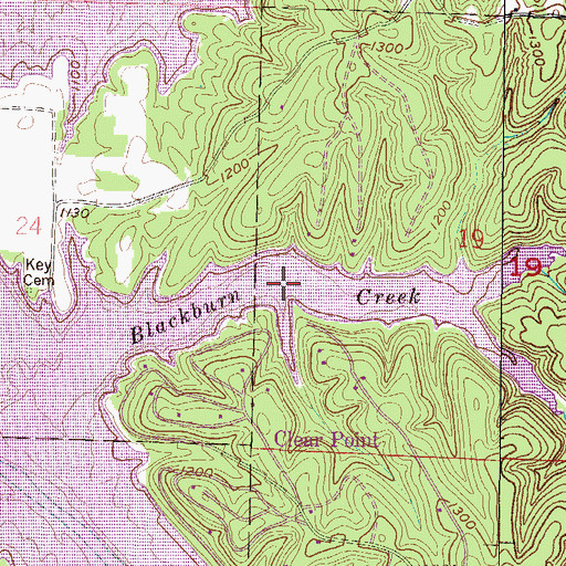 Topographic Map of Blackburn Arm, AR