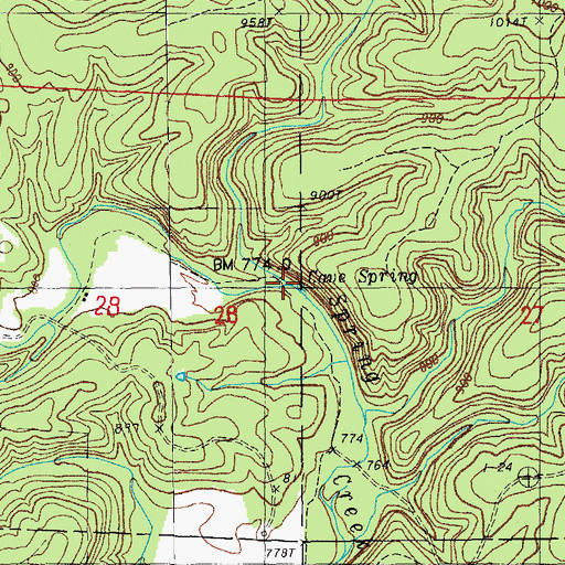 Topographic Map of Cave Spring, MO