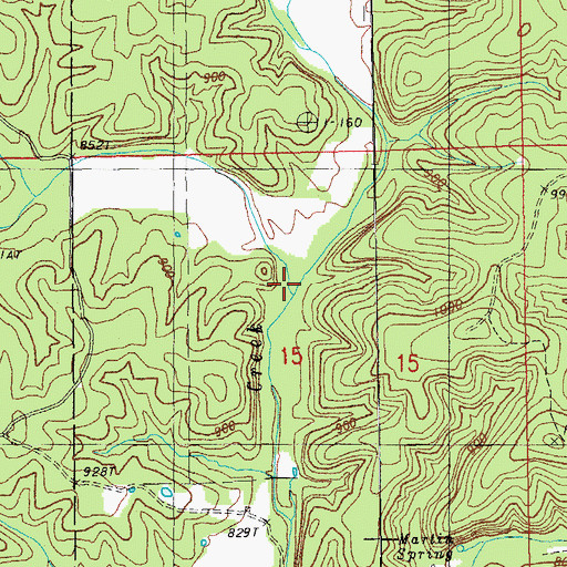 Topographic Map of South Fork Hurricane Creek, MO