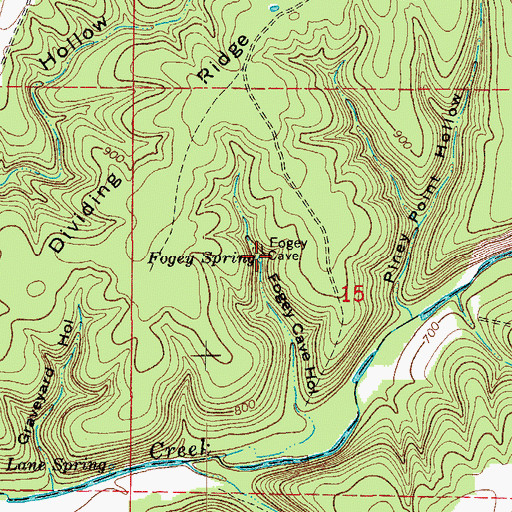 Topographic Map of Fogey Spring, MO