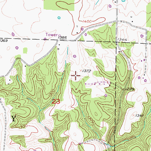 Topographic Map of Alma Mine, MO