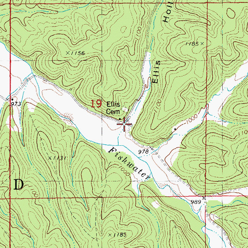 Topographic Map of Ellis Hollow, MO