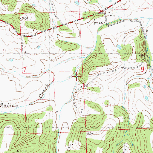 Topographic Map of Dry Saline Creek, MO