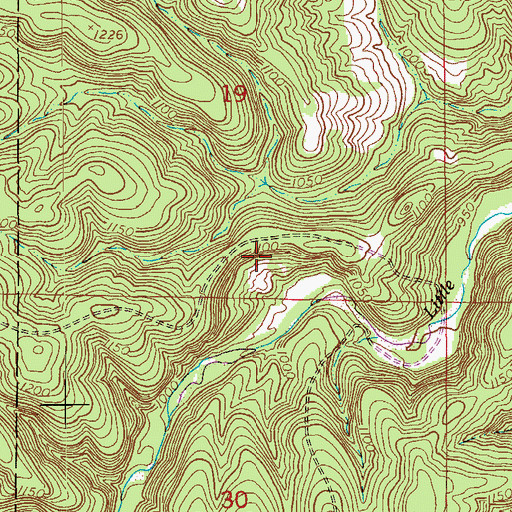 Topographic Map of Big Piney Trail, MO
