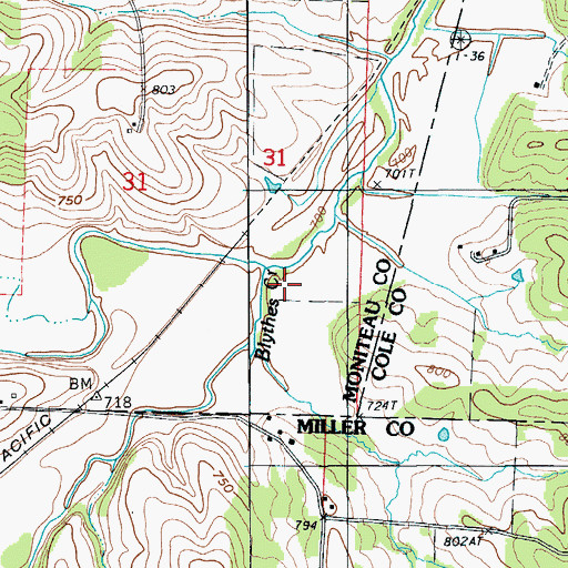 Topographic Map of Blythes Creek, MO
