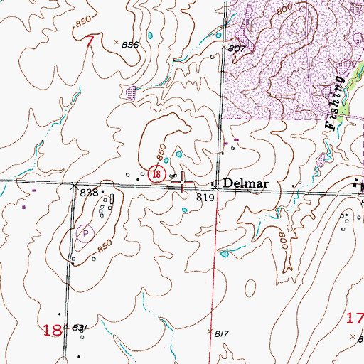 Topographic Map of Delmar, MO