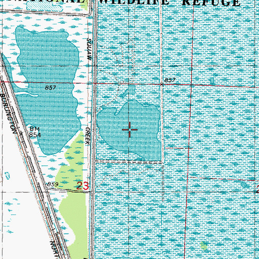 Topographic Map of Snow Goose Pool, MO